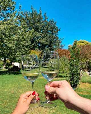 Undurraga — degustación de vinos / Wine tasting